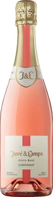 Juvé & Camps Cava Rosé Pinot Noir, Brut, Katalonien, 2023, 0,75 l - Bild 1