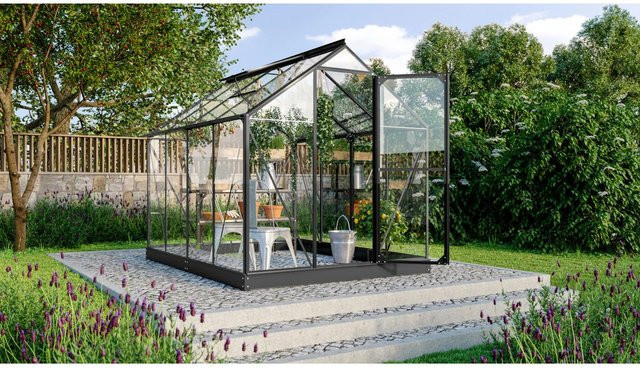 Vitavia Gewächshaus Triton 5000 mit ESG Sicherheitsglas und Vorzugsset in Schwarz - Bild 1