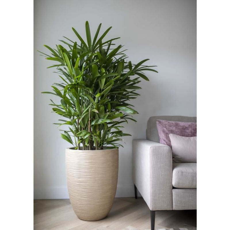 CAPI EUROPE Vase Waste Rib NL in Beige Terrazzo, B: 46 cm, H: 58 cm - Bild 3