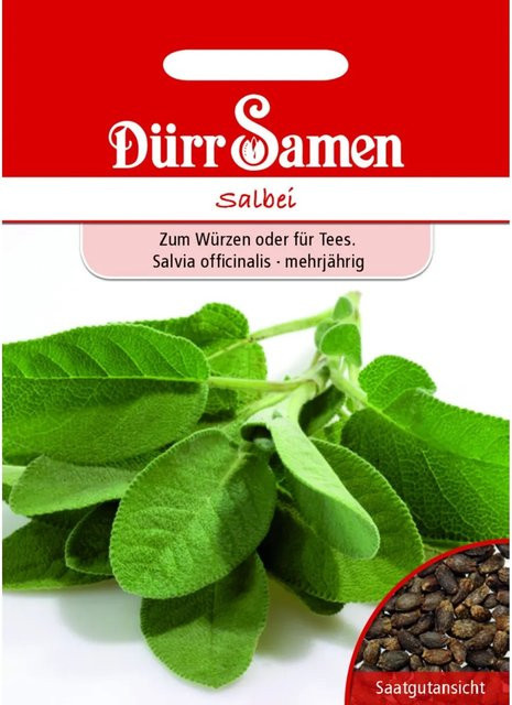 Dürr Samen Salbei Saatgut für Frühsaat und Freilandsaat, 100 g - Bild 1
