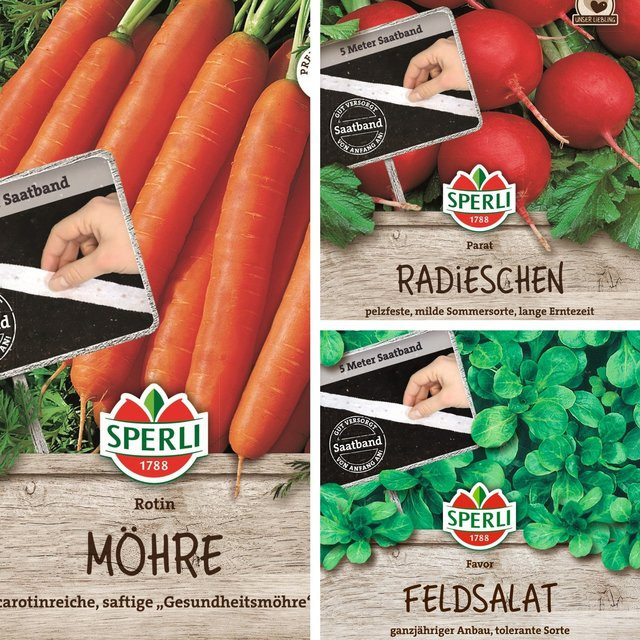 SPERLI Samen-Set Gemüsevielfalt Easy Gardening mit 3 Sorten Saatgut, Mehrfarbig - Bild 1