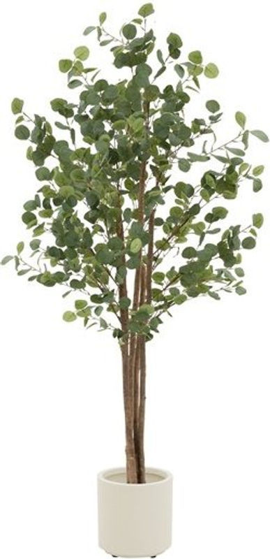 Künstlicher Eukalyptusbaum ML-Design in Grün und Braun mit Naturholzstamm, Höhe: 180 cm - Bild 1