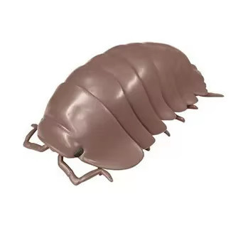 Bandai Porceeio Laevis Gashapon Insekten-Serie, Actionfigur, Modell Spielzeug - Bild 2