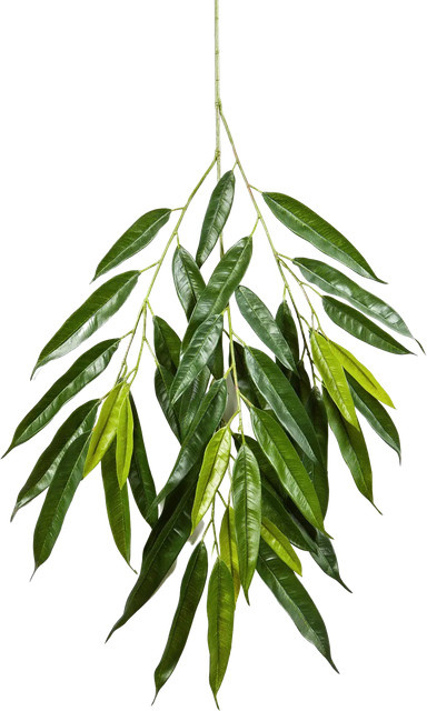 Künstlicher Longifolia-Zweig von Aplanta Georg, Höhe: 83 cm - Bild 1