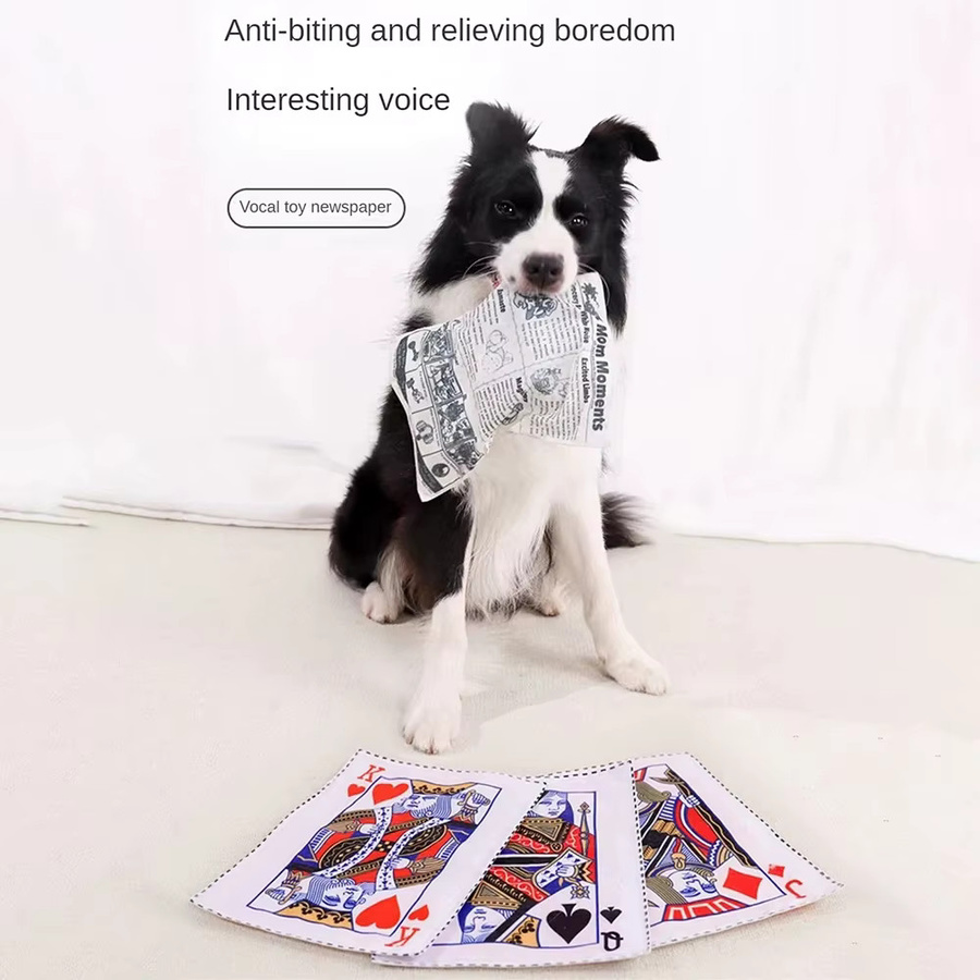 Reißfestes Haustier Hund Sound Spielzeug, Quietschende Zeitung, 1-teiliges Set - Bild 5