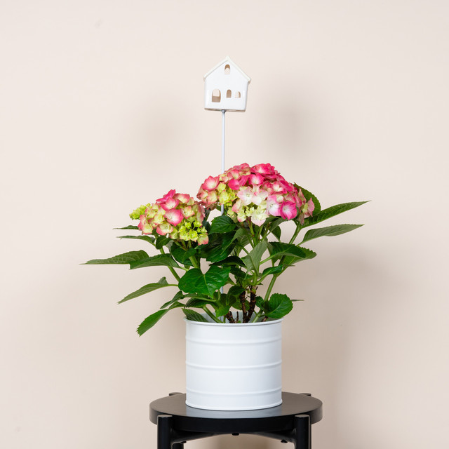 Keramikstecker Haus mit gelbem Dach von BLUME2000 - Bild 1