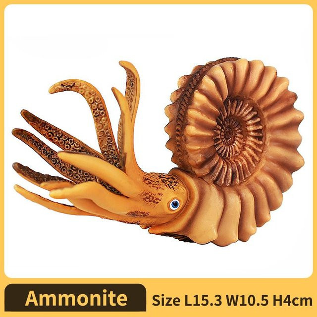 Discover Intime Nautilus Ammonoid Figur, Plastikmodell, ab 1,5 Jahre - Bild 1