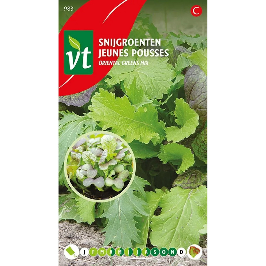 Arborix Asiatische Salatmischung Saatgut Würzig 2,5 g - Bild 2
