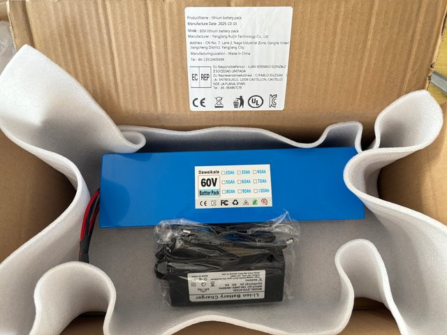 DAWEIKALA Lithium-Ionen-Akku 60V 100Ah 2000W in Blau mit integriertem 50A BMS und Ladegerät - Bild 1