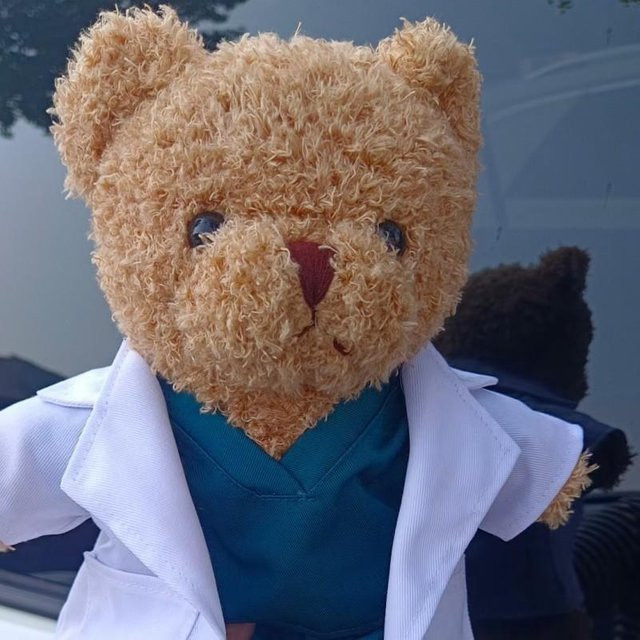 Bai Fen Bai dolls and toys Bär Puppe Arzt Krankenschwester Plüsch Set - Bild 1