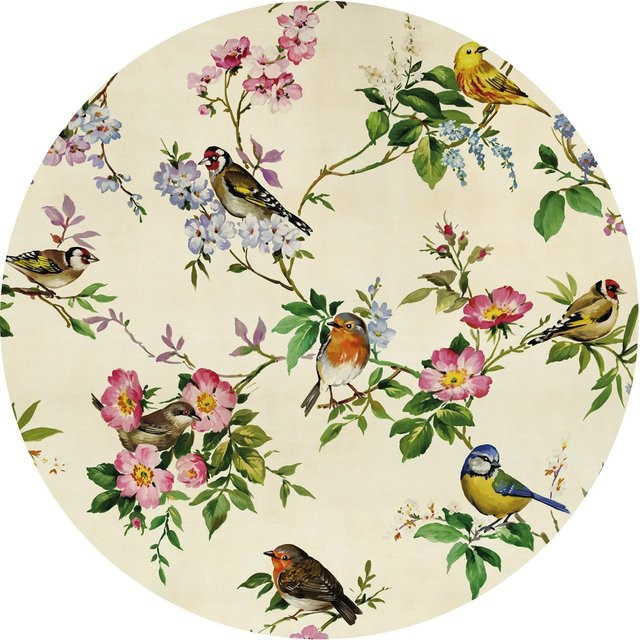 Komar Vliesfototapete Dot Bird Party selbstklebend multicolour Ø 125 cm - Bild 1