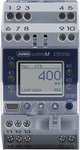 Jumo Temperaturbegrenzer 548737 in Blau - Bild 1