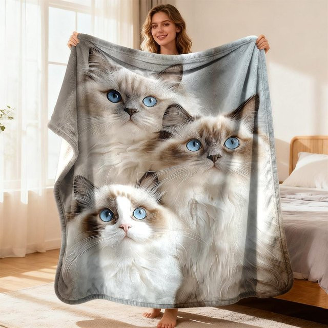 JMG Household Supplies Fleece Decke mit Ragdoll Katze Druck, weich und warm, grau, B/B: 130 x 150 cm - Bild 1