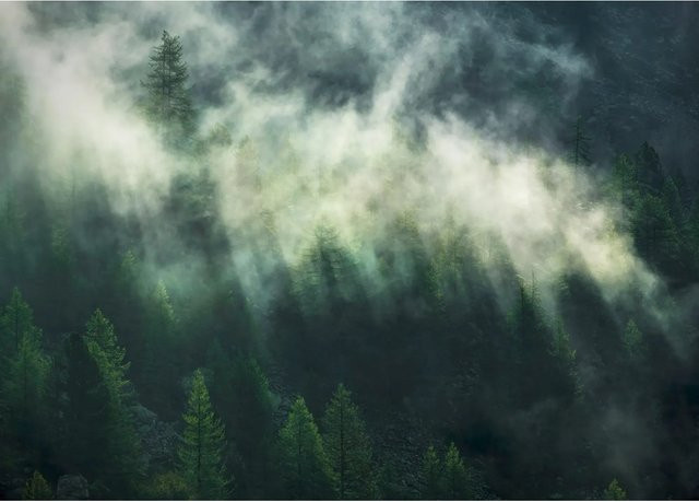 Komar Vliesfototapete Misty Crowns B: 350 cm, H: 250 cm - Bild 1