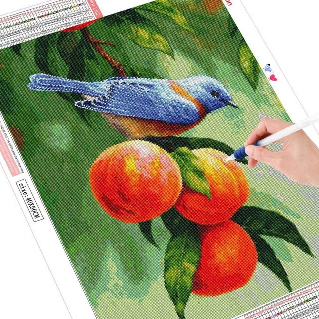 Diamond Painting Set FIYO Vogel und Frucht Mosaik Bild in Rot und Mehrfarbig, B x H: 30 x 20 cm - Bild 1