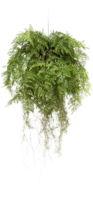 Künstlicher Hänge-Farn Leopold von artplants in Grün, Höhe: 55 cm - Bild 1