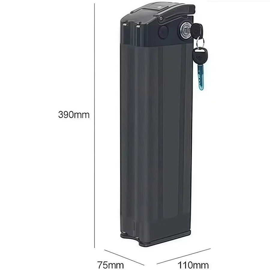 Aleaivy Silverfish Lithium-Ionen Akkupack mit Ladegerät, 48V 20Ah 15Ah oder 36V 20Ah 15Ah, Schwarz - Bild 4
