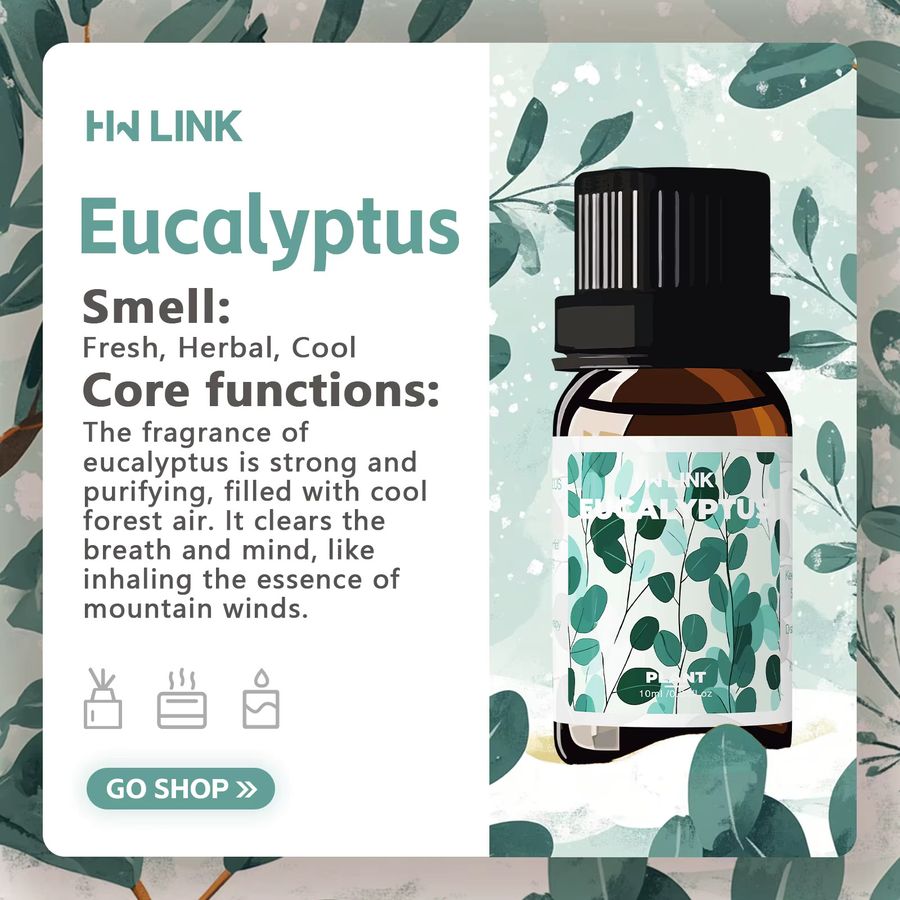 HWLINK Ätherisches Eukalyptusöl für Aromatherapie, Hautpflege und DIY-Anwendungen, 10 ml - Bild 3