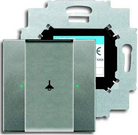 Busch-Jaeger Tastsensor 6125/01-803 in Silber und Transparent - Bild 1