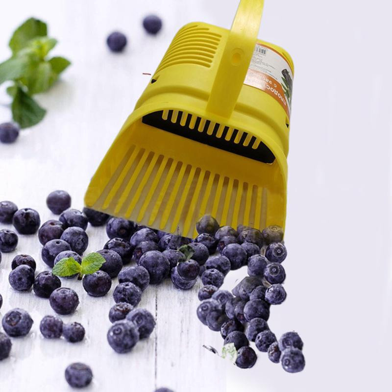 Multifunktionaler tragbarer Blaubeerpflücker mit kammförmigem Blaubeerrechen als Gartenhandwerkzeug zum Ernten - Bild 3