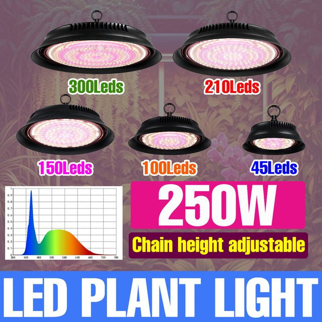 250 W LED Vollspektrum Pflanzenlampe für Hydrokultur und Gewächshäuser in Schwarz - Bild 1