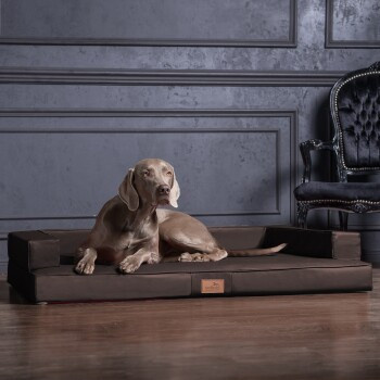 Tierlando Gibson Visco Orthopädisches Hundesofa aus Kunstleder in Braun, B/T/H: 80 x 60 x 22 cm - Bild 2