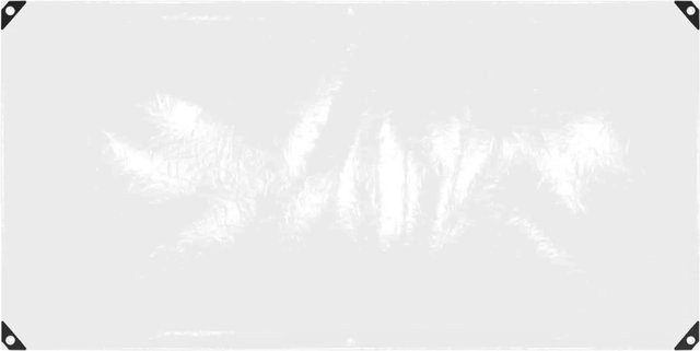 vidaXL Abdeckplane Transparent aus PVC, Maße: B: 1 m, L: 2 m - Bild 1