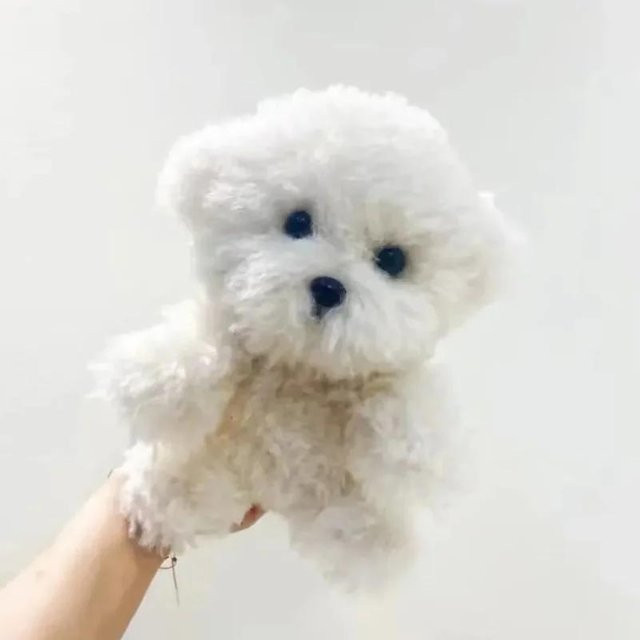 Kidsly West Highland Puppy Plüschtier, 20 cm, ab 3 Jahren - Bild 1