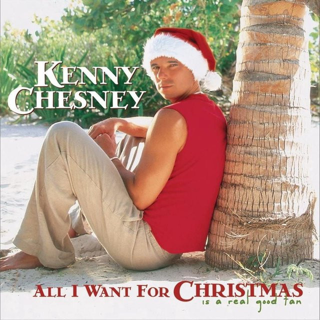 All I Want for Christmas Is a Non, Kenny Chesney, CD - Bild 1