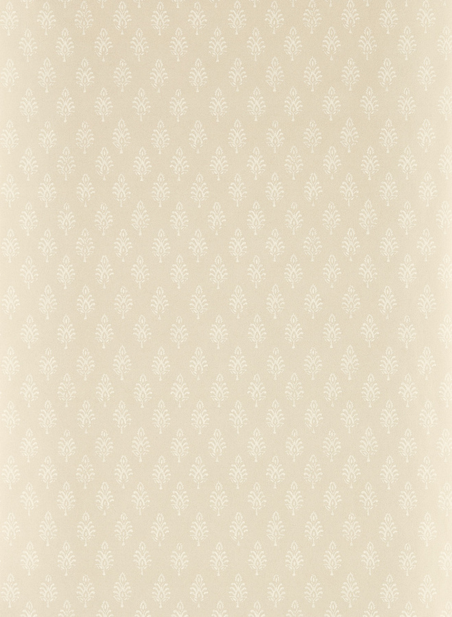 Clarke & Clarke Tapete Nandana Botanical Floral in Beige Non-Woven - Bild 1