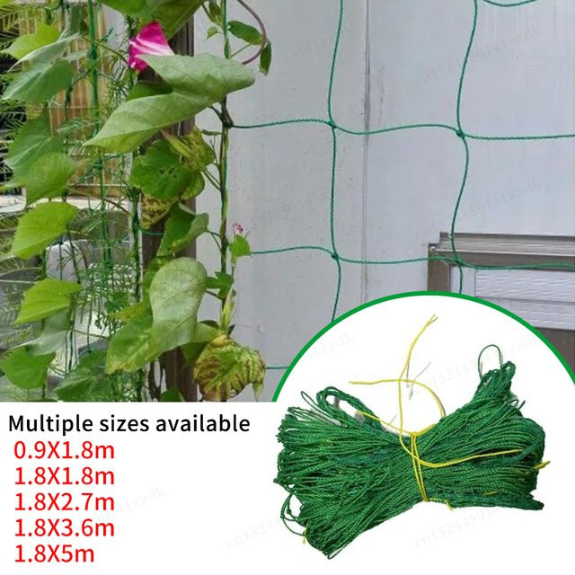Grünes Polyester-Pflanzenspalier als Wachstumsnetz für Kletterpflanzen und Gemüse im Garten - Bild 1