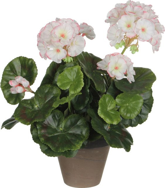 Mica Decorations Kunstpflanze Gerbera im Keramik-Blumentopf, Weiß-Rosa, Durchmesser: 20 cm, Höhe: 34 cm - Bild 1