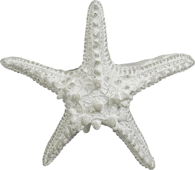 Mica Decorations Seestern Grau für maritime Tischdekoration B/T/H: 14,5 x 14,5 x 5 cm - Bild 1
