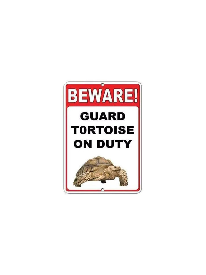 Cuarevw Metallschild Aluminiumschild Guard Tortoise On Duty in Weiß für den Außen- und Innenbereich B: 20,0 cm, H: 20,0 cm, T: 1,0 cm - Bild 2