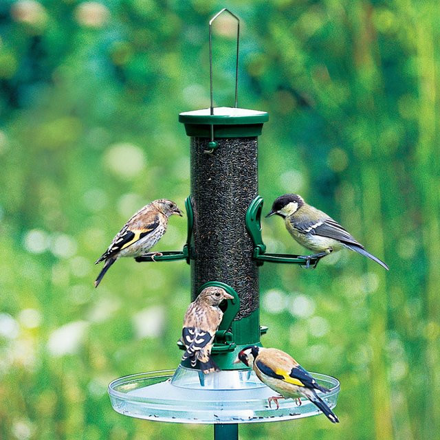 Vivara Vogelfutter Nigersamen Komplettpaket in Grün - Bild 1