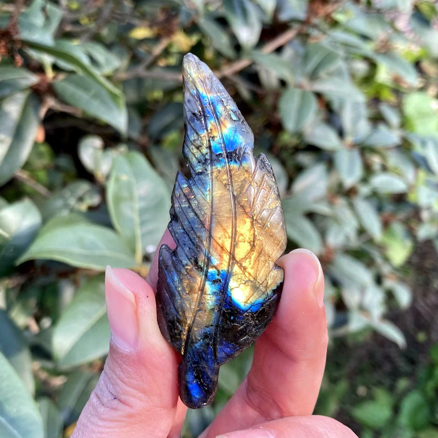 Natürliche Labradorit-Feder in Multicolour und Blau, 5 cm Kristallfeder zur Dekoration und Reiki-Heilung - Bild 4