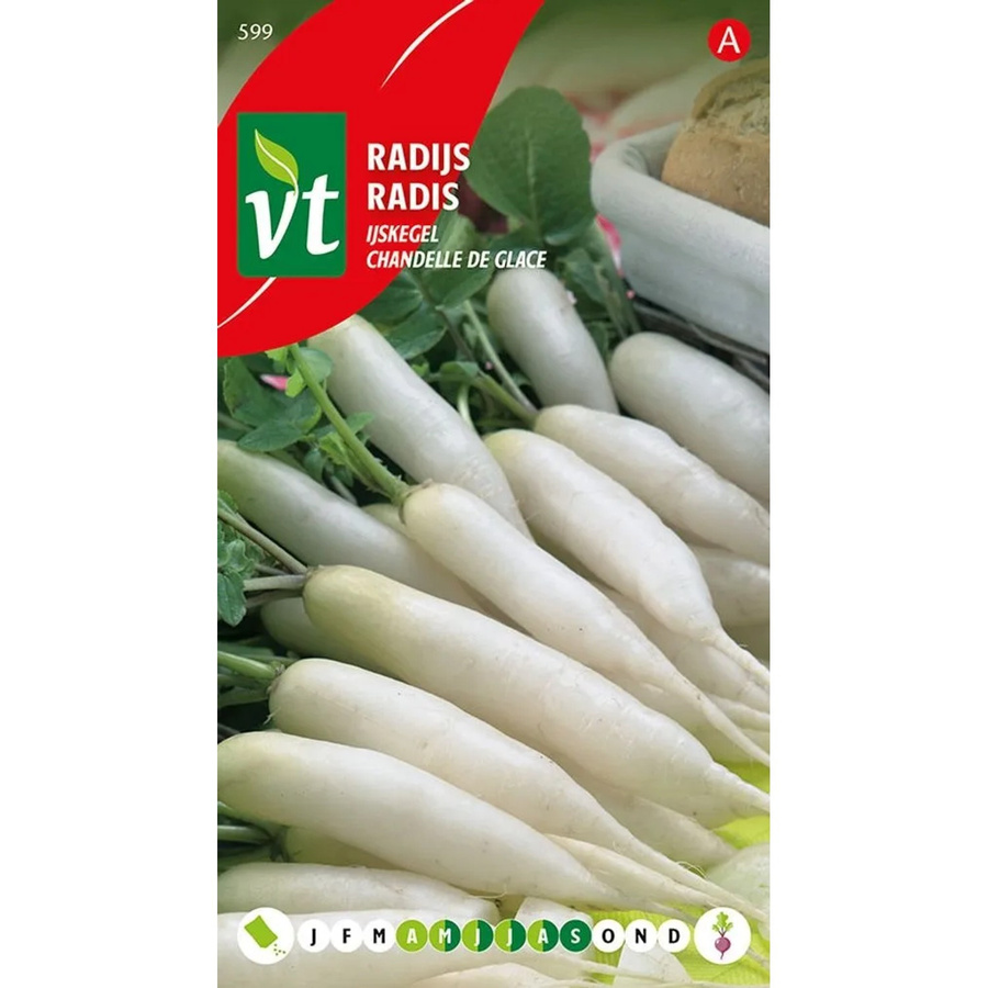Arborix Radieschen Eiszapfen Gemüsesaat für Garten und Balkon, 8 g - Bild 2