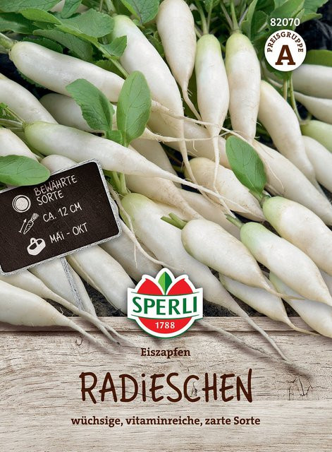 SPERLI Radieschen-Samen Eiszapfen - Bild 1