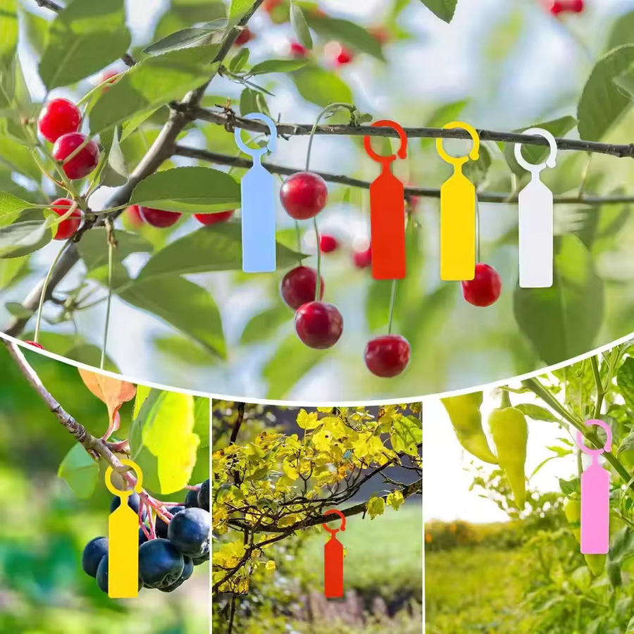 50 Stück wasserdichte Pflanzenetiketten aus Kunststoff in Grün für Garten und Gewächshaus - Bild 6
