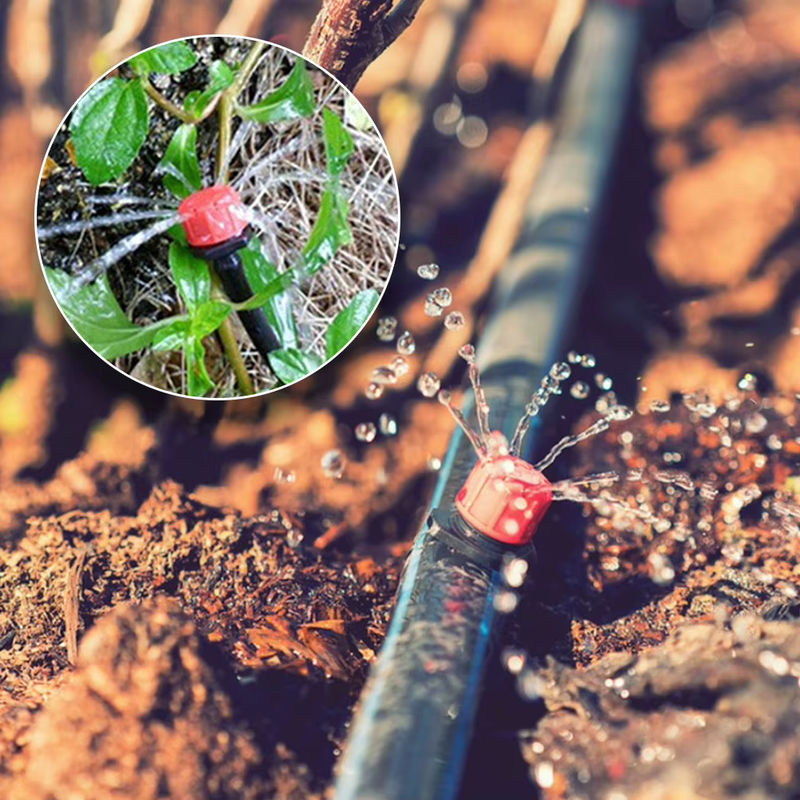 Alloet Micro-Tropfbewässerungsset für Gewächshaus und Garten mit 1/2 Zoll Schlauch und 1/4 Zoll Verteilerschlauch, 60,96 m - Bild 5