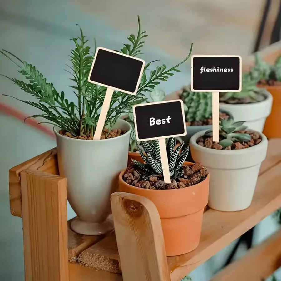 10 Stück Tafel-Etiketten aus Holz in Schwarz für Gartenbau, Sukkulenten und Pflanzendekoration - Bild 1