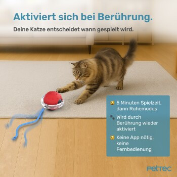 PetTec Interactive Toy Ball 1 - Bild 2