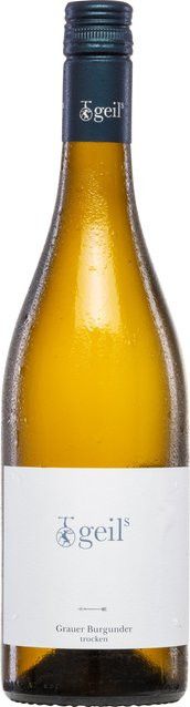 Geils Sekt- und Weingut Weißwein Pinot Grigio 2024, Rheinhessen, trocken, 0,75 l - Bild 1