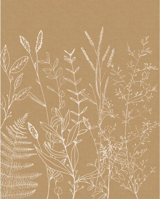 Komar Vliesfototapete Herbs Garden B: 200 cm x H: 250 cm - Bild 1