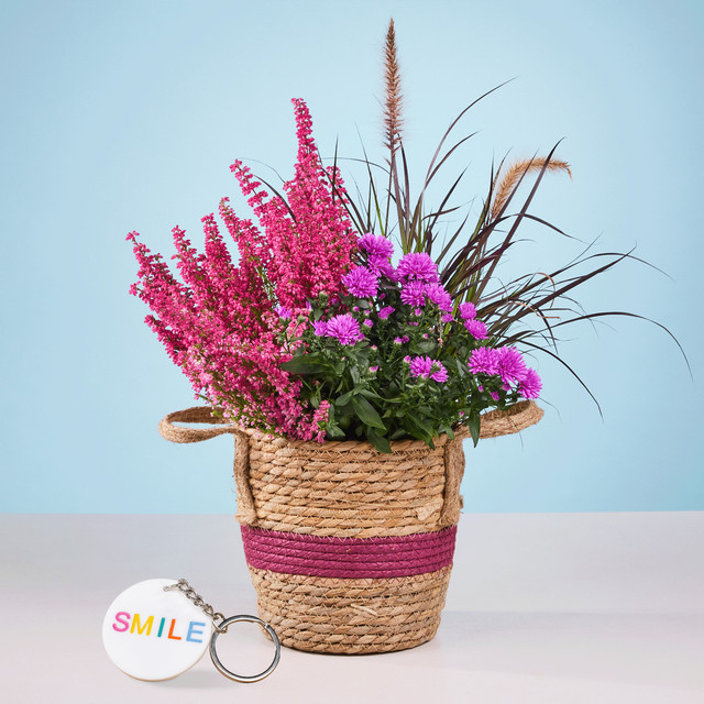 Erica Berry Wonder Herbstpflanze mit Smile Anhänger von BLUME2000 im Topf - Bild 1