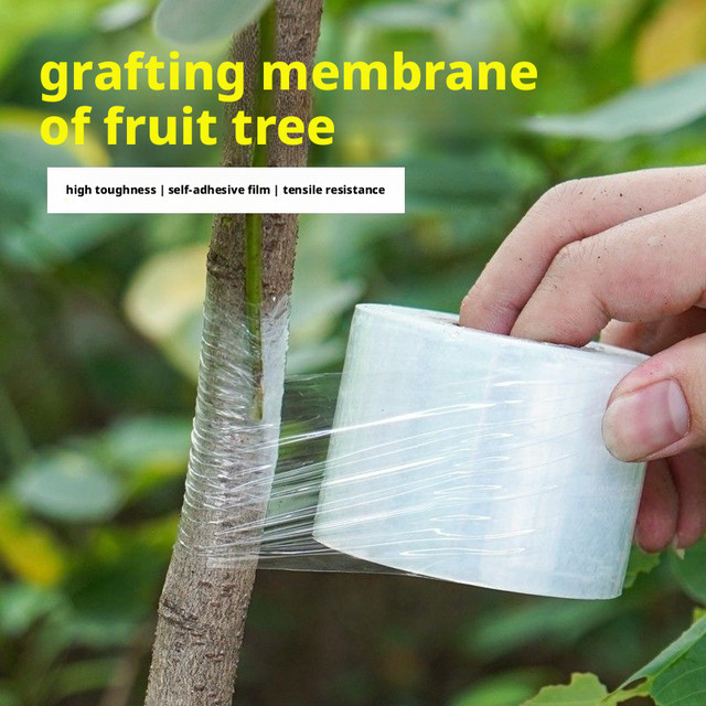 Selbstklebende PE-Veredelungsfolie für Garten-Obstbäume, transparente Baumstumpf-Dehnungsfolie ohne Knotenbildung - Bild 1