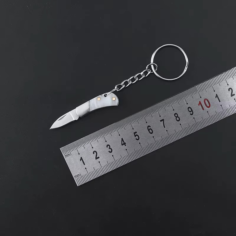 Mini EDC Klappmesser aus Edelstahl in Silber als Schlüsselanhänger für Camping und Outdoor - Bild 2