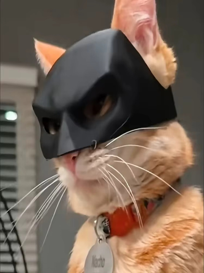 Meade Halloween Fledermaus Haustiermaske, Spielzeug für Katzen und Hunde - Bild 3