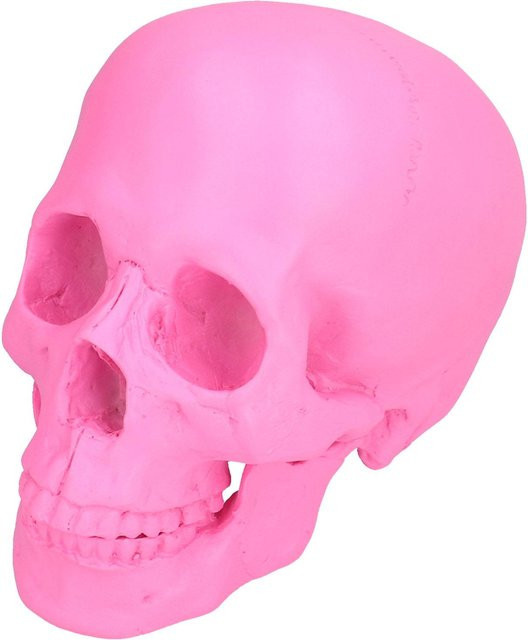 OutsideWorld Halloween Schädel Deko aus Harz in Rosa - Bild 1