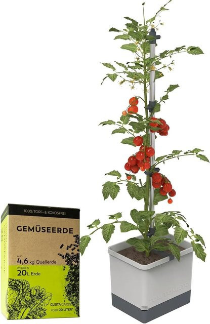 Gusta Garden Tomatentopf Tom Tomato Pflanzentopf mit Rankhilfe in Hellgrau inklusive 20L Urban Gardening Erde - Bild 1